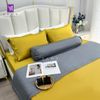  Bộ Chăn Ga Lụa Tencel Coolsilk TCS2200 