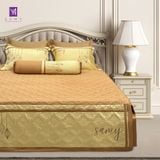  Bộ Chăn Ga Lụa Thêu Tencel Coolsilk Pro 1001 