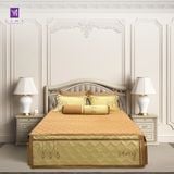  Bộ Chăn Ga Lụa Thêu Tencel Coolsilk Pro 1001 