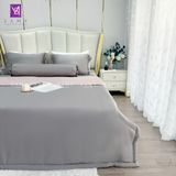 Bộ Chăn Ga Lụa Tencel Coolsilk TCS2197 