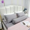  Bộ Chăn Ga Lụa Tencel Coolsilk TCS2197 