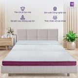  Nệm Bông Ép Gấp 3 Samy Imperial 