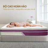  Nệm Lò Xo Túi Samy King 5 Sao 