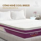  Nệm Lò Xo Túi Samy King 5 Sao 