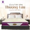  Nệm Lò Xo Túi Cao su Thiên nhiên Samy Royal 