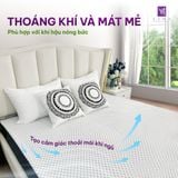  Nệm Cao su Thiên nhiên Than hoạt tính Samy Nanolatex 