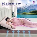  Nệm Cao su Thiên nhiên Samy Cool 