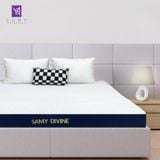  Nệm Cao su Thiên nhiên Samy Divine 
