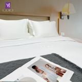  Bộ Chăn Drap Khách sạn 5 sao Samy King (Pure White) 