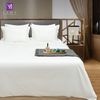  Bộ Chăn Drap Khách sạn 5 sao Samy King (Pure White) 