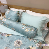  Bộ Chăn Ga Lụa Tencel Coolsilk TCS2753 