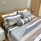  Bộ Chăn Ga Lụa Tencel Coolsilk TCS2758 