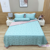  Bộ Chăn Ga Lụa Tencel Coolsilk TCS2765 