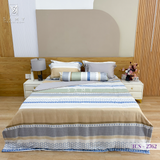  Bộ Chăn Ga Lụa Tencel Coolsilk TCS2762 
