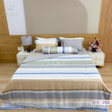  Bộ Chăn Ga Lụa Tencel Coolsilk TCS2762 