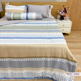  Bộ Chăn Ga Lụa Tencel Coolsilk TCS2762 