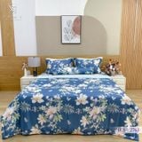  Bộ Chăn Ga Lụa Tencel Coolsilk TCS2763 