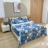  Bộ Chăn Ga Lụa Tencel Coolsilk TCS2763 