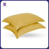  Vỏ Gối Nằm Trơn Cao Cấp Tencel Coolsilk BST03 