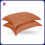  Vỏ Gối Nằm Trơn Cao Cấp Tencel Coolsilk BST03 