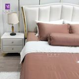  Bộ Chăn Ga Lụa Tencel Coolsilk TCS2186 