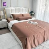  Bộ Chăn Ga Lụa Tencel Coolsilk TCS2186 