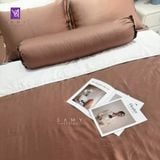  Bộ Chăn Ga Lụa Tencel Coolsilk TCS2186 