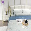  Bộ Chăn Ga Cotton Lụa Satin Easy Care CLE2425 