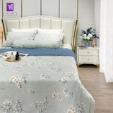  Bộ Chăn Ga Cotton Lụa Satin Easy Care CLE2425 