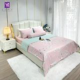  Bộ Chăn Ga Cotton Lụa Satin Easy Care CLE2429 