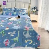  Bộ Chăn Ga Cotton Lụa Satin Easy Care CLE2428 