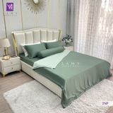  Bộ Chăn Ga Lụa Tencel Silk Protein TSP4120 