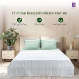  Ruột chăn hè cao cấp 