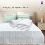  Ruột chăn hè cao cấp 