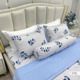  Bộ Chăn Ga Cotton Lụa Satin Easy Care CLE2423 