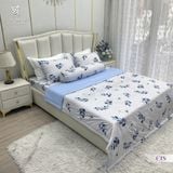  Bộ Chăn Ga Cotton Lụa Satin Easy Care CLE2423 