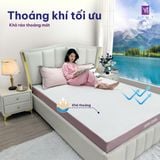  Nệm Cao su Thiên nhiên Samy Cool 