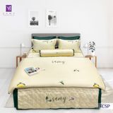  Bộ Chăn Ga Lụa Thêu Tencel Coolsilk Pro 1004 