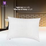  Ruột Gối Nằm Samy Luxury Lông Vũ Chuẩn 5 Sao 