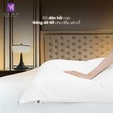  Ruột Gối Nằm Samy Luxury Lông Vũ Chuẩn 5 Sao 