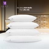  Ruột Gối Nằm Samy Luxury Lông Vũ Chuẩn 5 Sao 