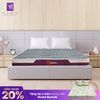  Nệm Foam Cao Cấp Samy Crown 