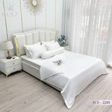  Bộ Chăn Ga Lụa Tencel Coolsilk TCS2210 