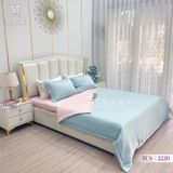  Bộ Chăn Ga Lụa Tencel Coolsilk TCS2220 