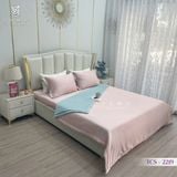  Bộ Chăn Ga Lụa Tencel Coolsilk TCS2219 