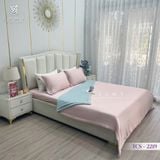  Bộ Chăn Ga Lụa Tencel Coolsilk TCS2219 