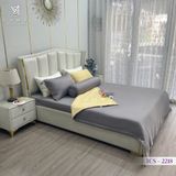  Bộ Chăn Ga Lụa Tencel Coolsilk TCS2218 