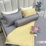  Bộ Chăn Ga Lụa Tencel Coolsilk TCS2218 