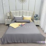  Bộ Chăn Ga Lụa Tencel Coolsilk TCS2218 