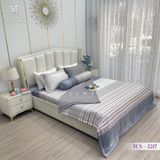  Bộ Chăn Ga Lụa Tencel Coolsilk TCS2217 